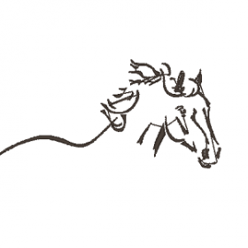 Matriz De Bordado - Cavalo do Rancho