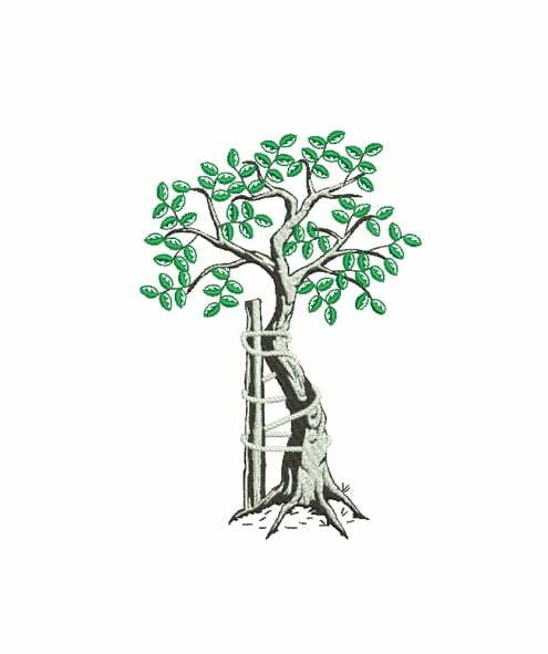 Matriz De Bordado Arvore Ortopedia para bordar Matriz De Bordado Árvore Ortopedia para bordar. Símbolo