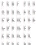 Matriz De Bordado – Pacote 250 Nomes Prontos - Imagem 4