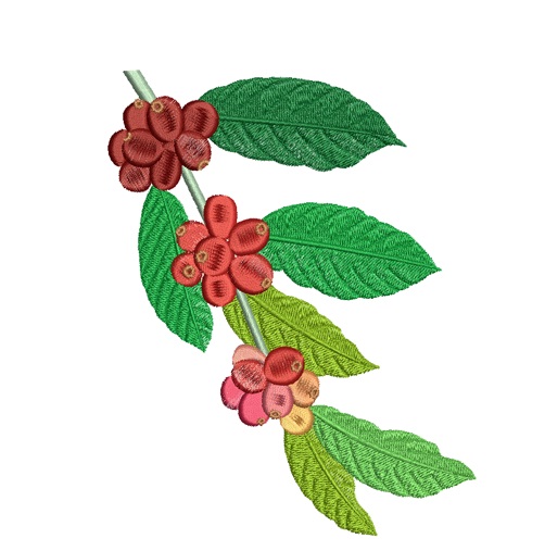 matriz-de-bordado-cafe