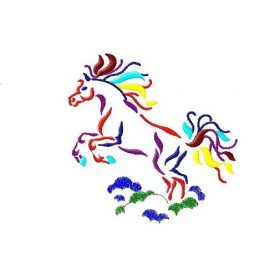 Matriz De Bordado Cavalo Colorido para bordar