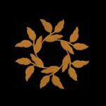 Matriz De bordado Floral para bordar