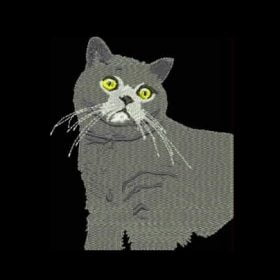 Matriz De Bordado Gatinho para bordar