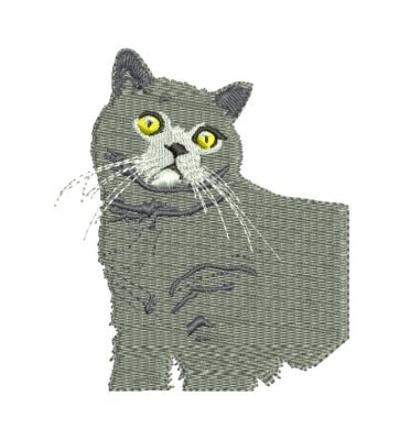 Matriz De Bordado Gatinho para bordar