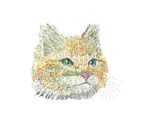 Matriz De Bordado - Gatinho Personalizado - Imagem 3