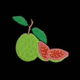 Matriz De Bordado Goiaba para bordar. Fruta