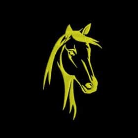 Matriz De Bordado Égua Para Bordar. 