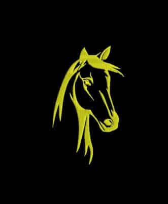 Matriz De Bordado Égua Para Bordar. 