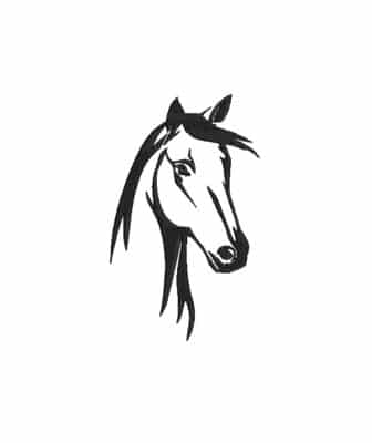 Matriz De Bordado Égua Para Bordar. 