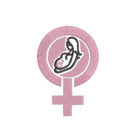 Matriz De Bordado Ginecologia Para Bordar.