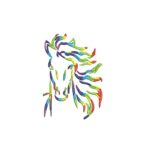 Matriz De Bordado Cavalo Colorido para bordar.2