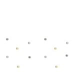 matriz-de-bordado-poa